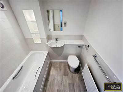 Picture 9